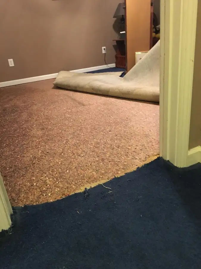 Carpet pad removal revealing water damage during Water Mitigation Services in Charles Town