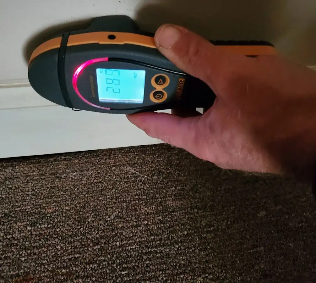 Moisture detection at baseboard during Sewage Cleanup & Sanitation in Charles Town